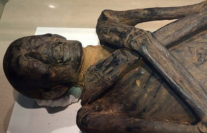 4200-летняя мумия. 4200-летняя мумия.
