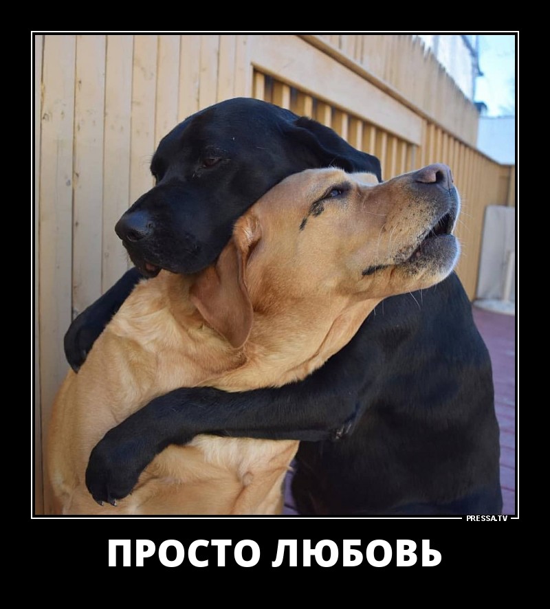 Позитивные летние демотиваторы о жизни Позитивные летние демотиваторы о жизни