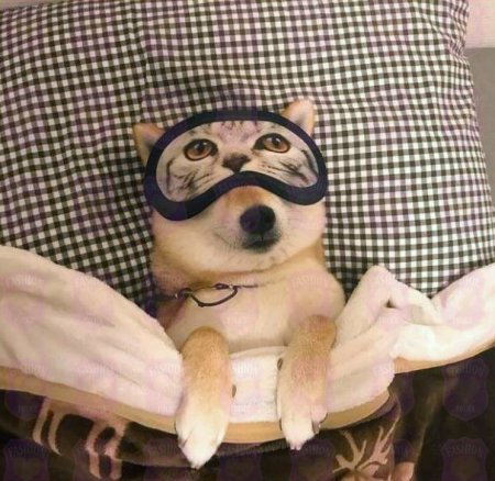 Милота уснула Милота уснула