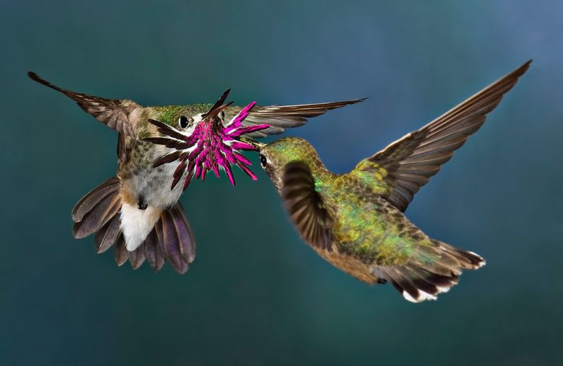 Прикол картинка