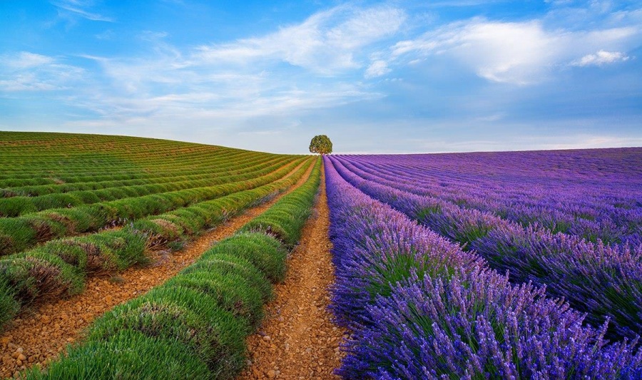25 поразительных фотографий 25 поразительных фотографий