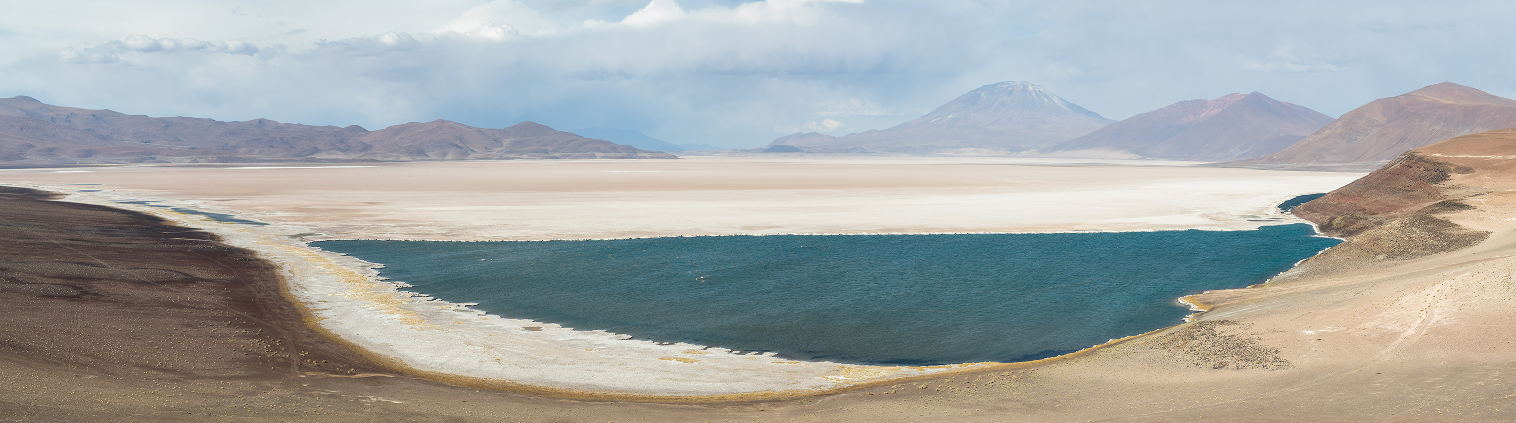 Каркоте (Salar de Carcote), Чили