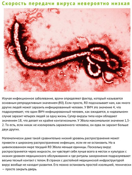 10 причин, по которым Эбола не приведет к концу света