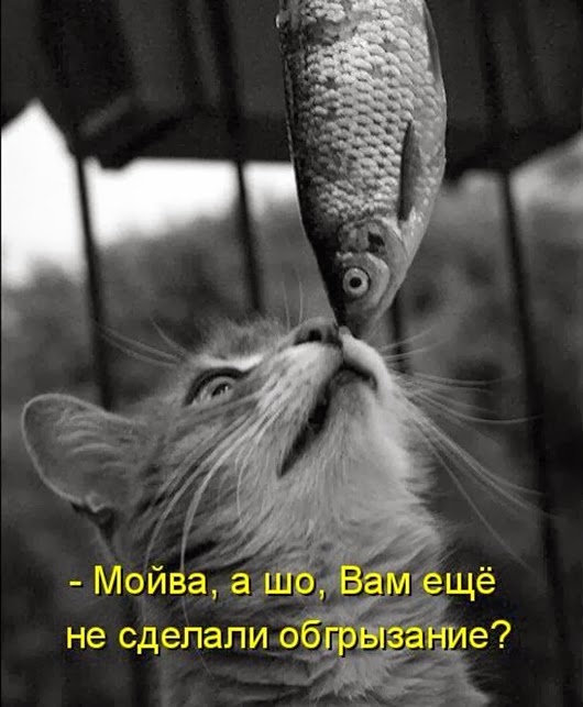 a576a3743cdc2576e957c0c1e58