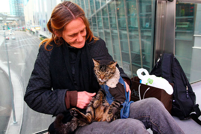 ��� ����� ����� ���-�����