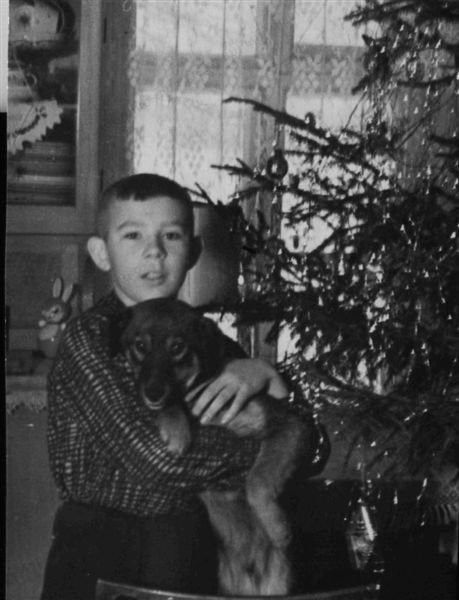 елка, детство, дети