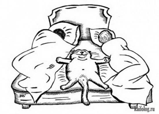 Карикатуры про котов (30 штук) Карикатуры про котов (30 штук)