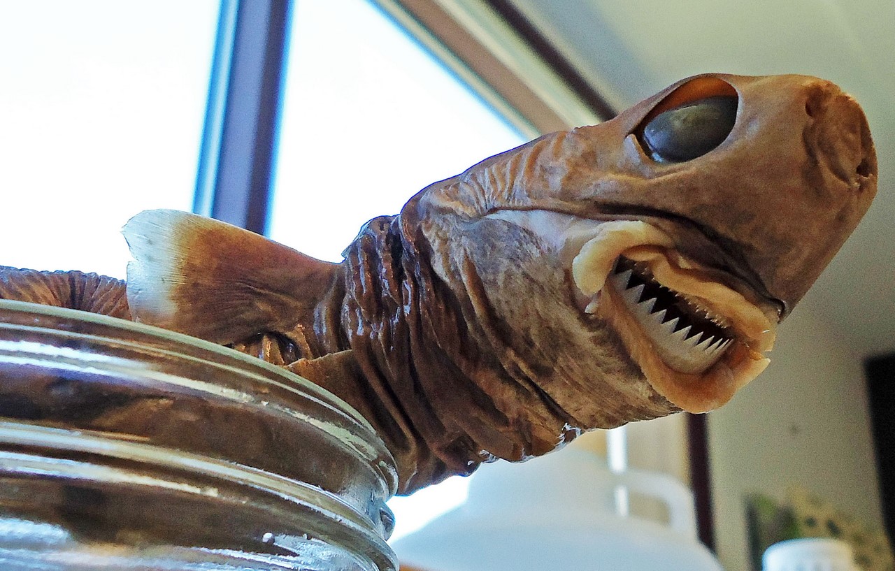 Cookiecutter-Shark-preserved (Копировать)