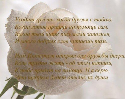 стихи о дружбе и добре утро Детское термобелье состоит