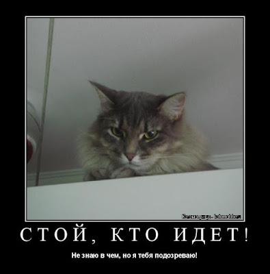 Стой, кто идет?