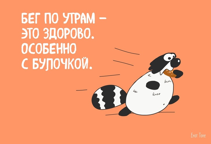 Пара из Петербурга рисует комиксы о ленивом еноте, который чем-то похож на каждого из нас