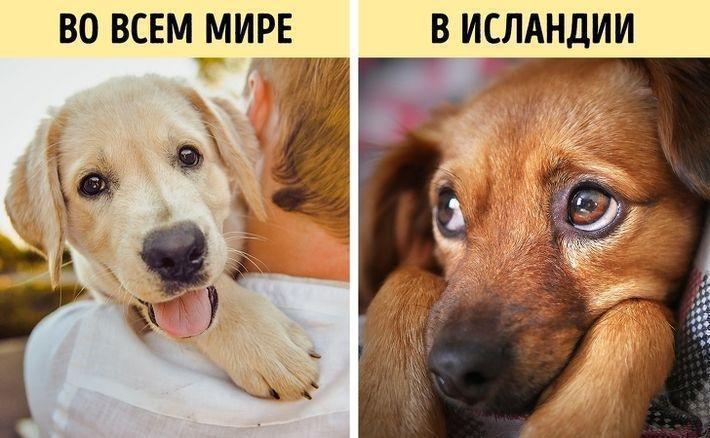 15 забавных фактов, которые изменят ваше представление о мире 15 забавных фактов, которые изменят ваше представление о мире