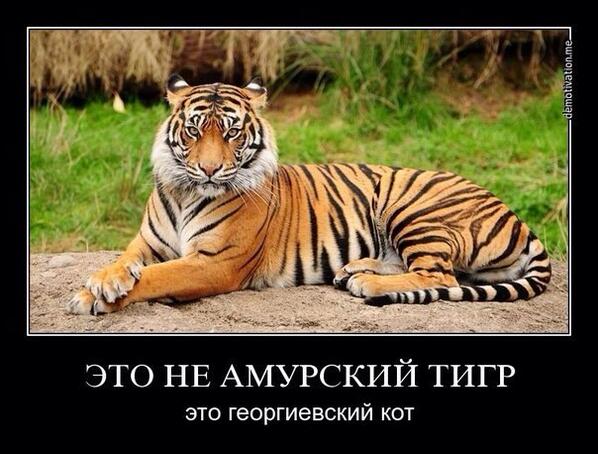 Новые русские или 300 стрелковцев
