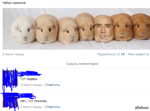 Убойная подборочка комментариев из соц.сетей от народных приколистов Убойная подборочка комментариев из соц.сетей от народных приколистов