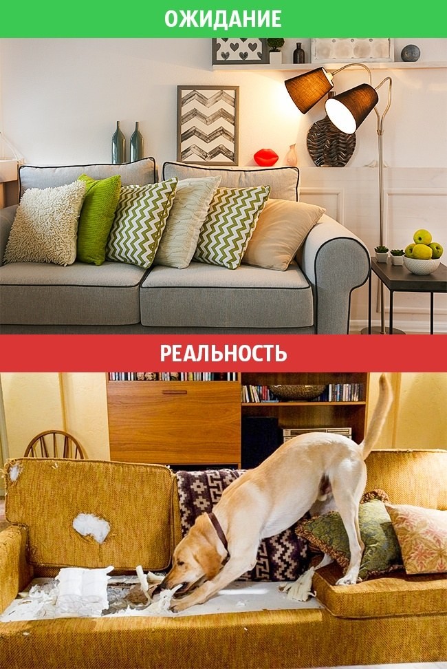 Идеальная семейная жизнь: ожидание vs. реальность Идеальная семейная жизнь: ожидание vs. реальность