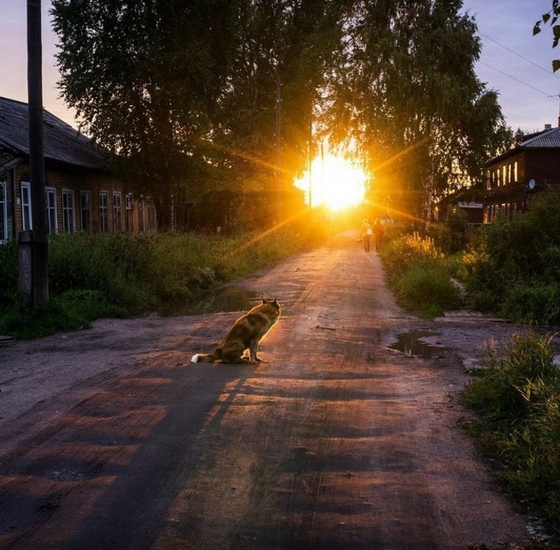 Ностальгия картинки красивые