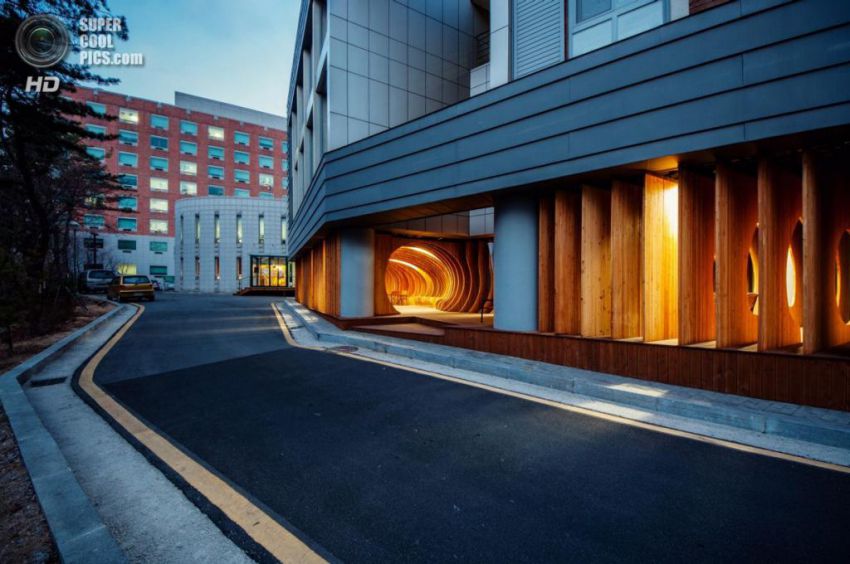 студент, отдых