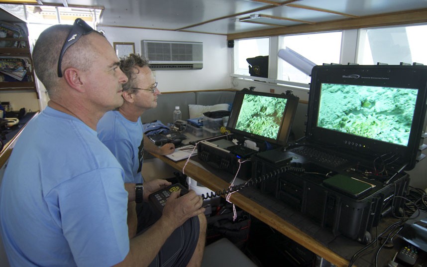 Explore coral reefs 6