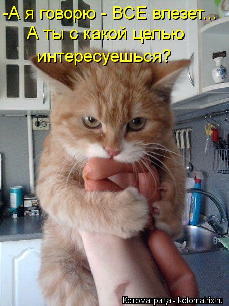 -А я говорю - ВСЕ влезет... А ты с какой целью интересуешься?... Котоматрица: -А я говорю - ВСЕ влезет... А ты с какой целью интересуешься?