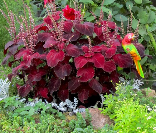 Картинка 50 из 10416