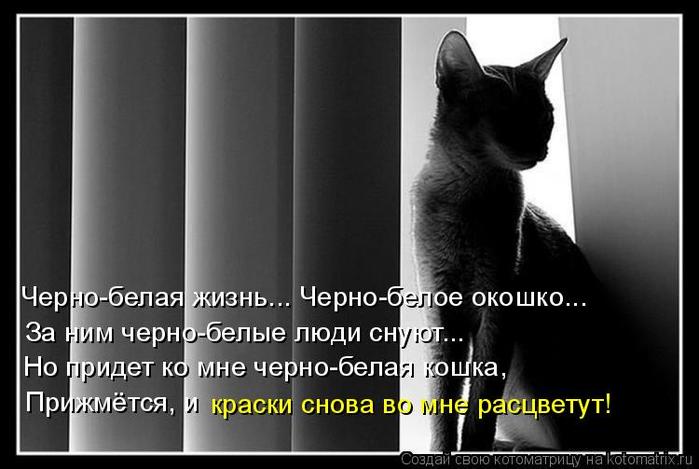 3416556_851734 (700x469, 43Kb)