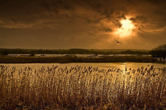 Дивная красота нашей матушки-Земли от Михалыча