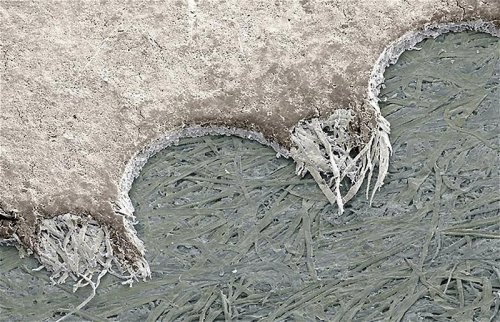 Макрофотографии обычных вещей (29 шт)