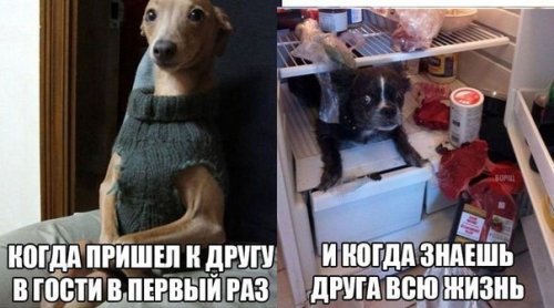 Новые анекдоты (9 шт)