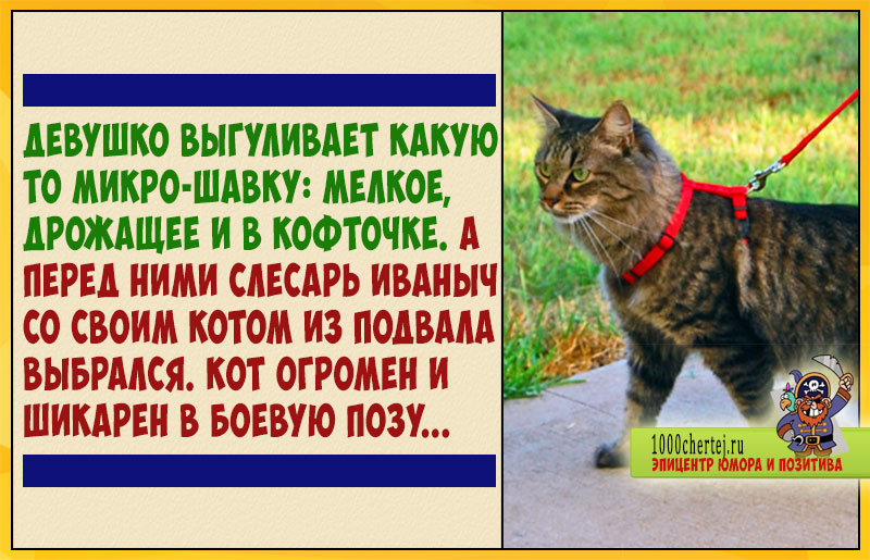 Фу, Мурзик Борисович!