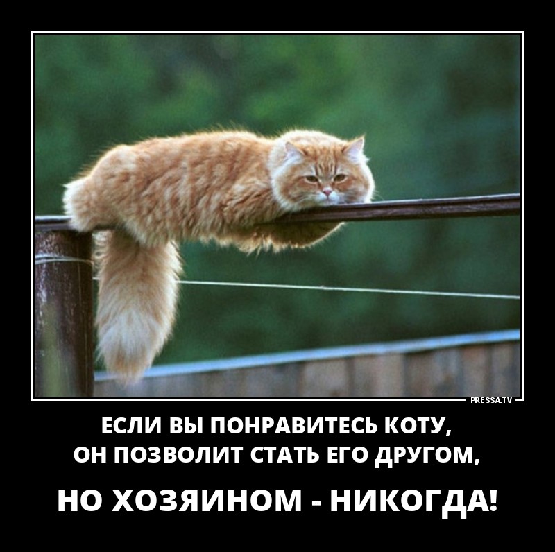 Позитивные летние демотиваторы о жизни Позитивные летние демотиваторы о жизни