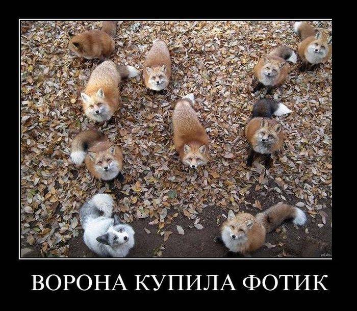 Смех в картинках... Смех в картинках...