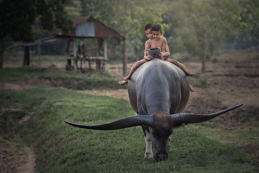 25 поразительных фотографий 25 поразительных фотографий