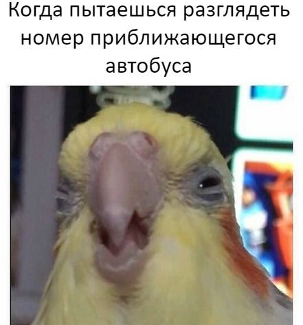 Предпятничные анекдоты (11 шт)