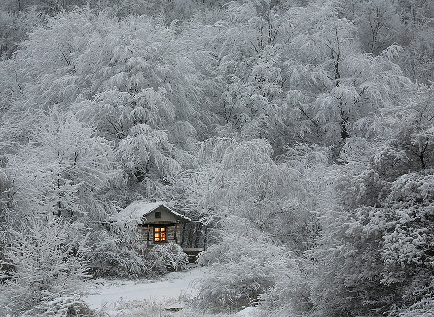 Gorgeous Winter Landscapes 5   