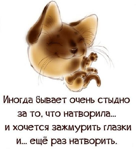 Немного ехидства, сарказма, стёба и даже чистого юмора вам в ленту!!! Немного ехидства, сарказма, стёба и даже чистого юмора вам в ленту!!!