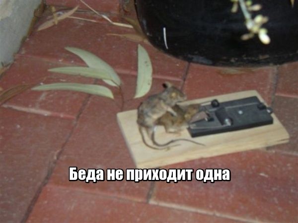 Жаль, что кремом от раздражения нельзя намазаться ИЗНУТРИ!!! Жаль, что кремом от раздражения нельзя намазаться ИЗНУТРИ!!!