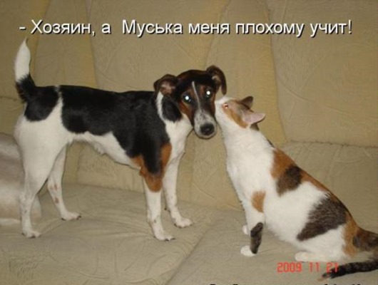 102e240f0ee33cdf337e4fda10c_prev