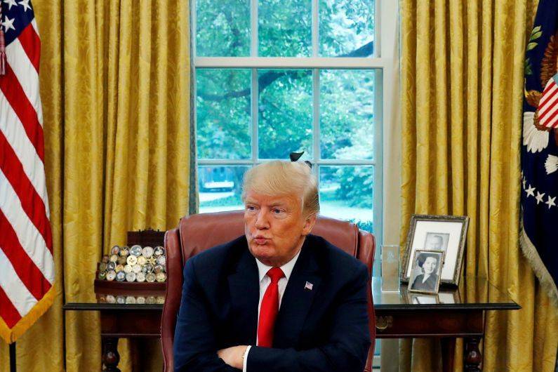 Голову с плеч или мир: что ждет Трампа в связи с выборами в Конгресс Голову с плеч или мир: что ждет Трампа в связи с выборами в Конгресс
