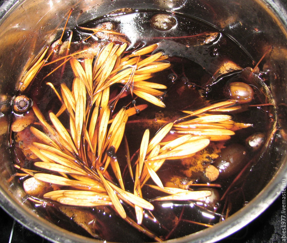 консервированные растения, conserved leaves, липа консервированные растения, conserved leaves, липа