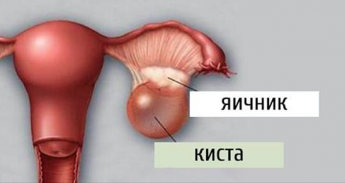 snimok-ekrana-2016-12-22-v-21-53-55-696x370