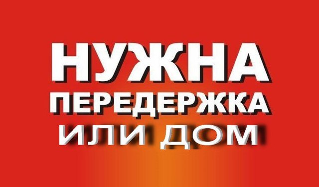 За этой простой внешностью прячутся невероятно славные души! За этой простой внешностью прячутся невероятно славные души!