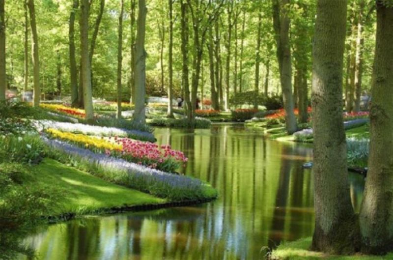 интересное, фото, факты