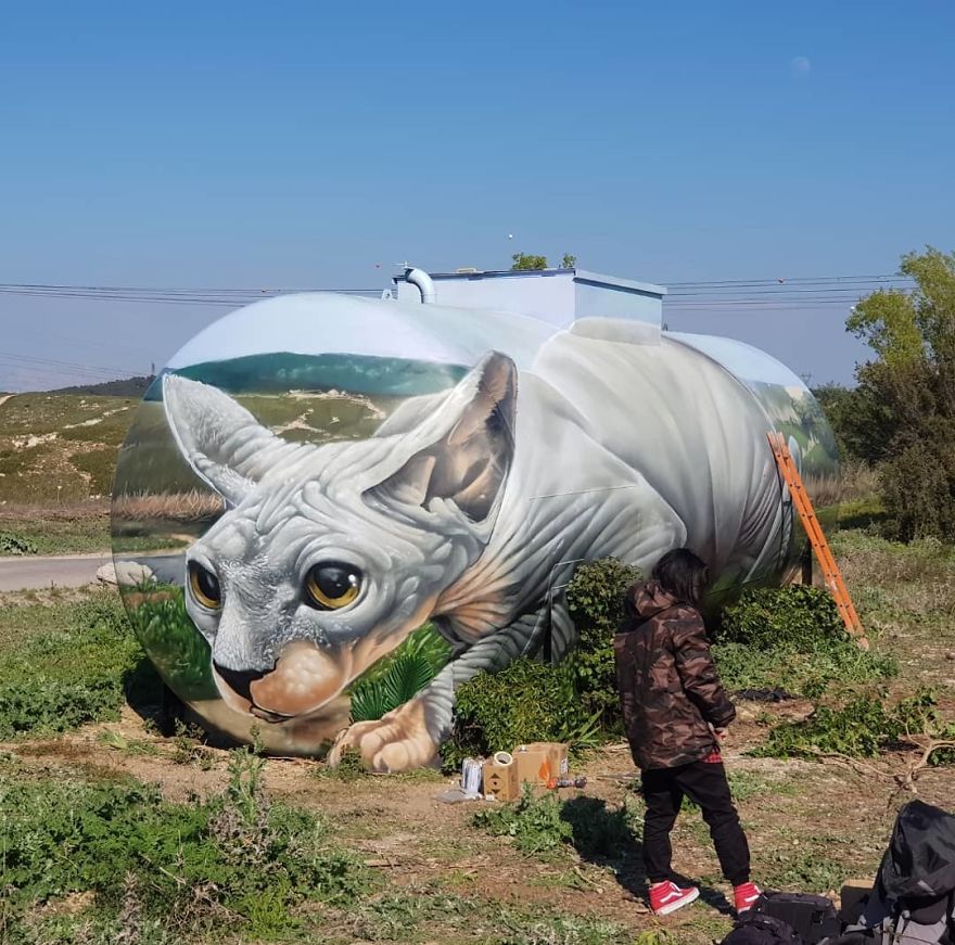 Брага (12).jpg Брагадо и кот