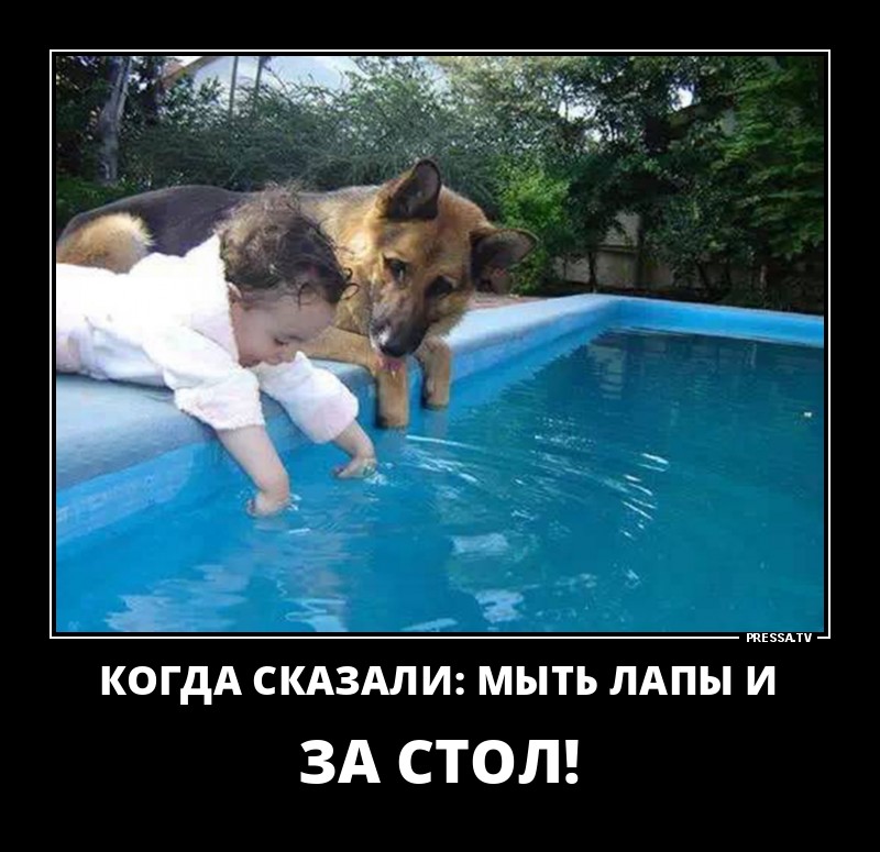 Позитивные летние демотиваторы о жизни Позитивные летние демотиваторы о жизни