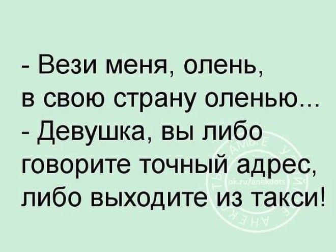 Забавные истории для отличного настроения