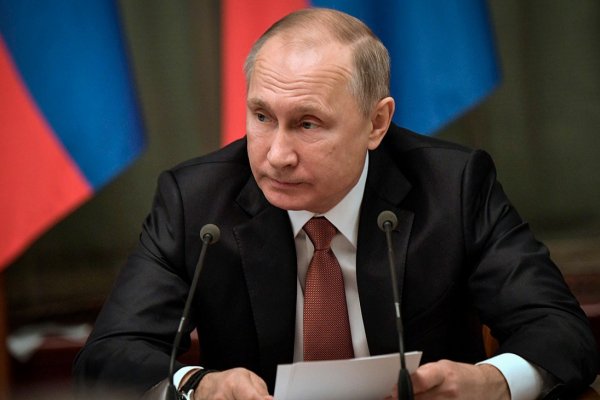 Импортозамещение в действии: Россия бьет рекорды в сельхозпроизводстве Импортозамещение в действии: Россия бьет рекорды в сельхозпроизводстве