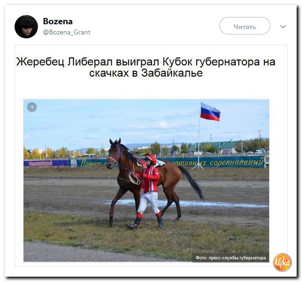 Убойная подборочка сатирических комментариев из сети о самом злободневном (политсатира) Убойная подборочка сатирических комментариев из сети о самом злободневном (политсатира)