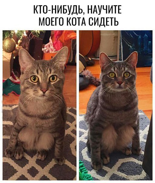 Немного ехидства, сарказма, стёба и даже чистого юмора вам в ленту!!! Немного ехидства, сарказма, стёба и даже чистого юмора вам в ленту!!!