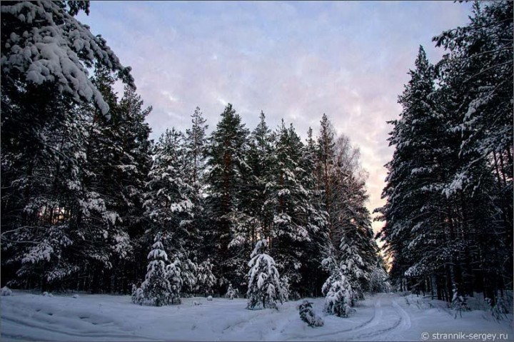 В путь за тайной в зимний лес Original
