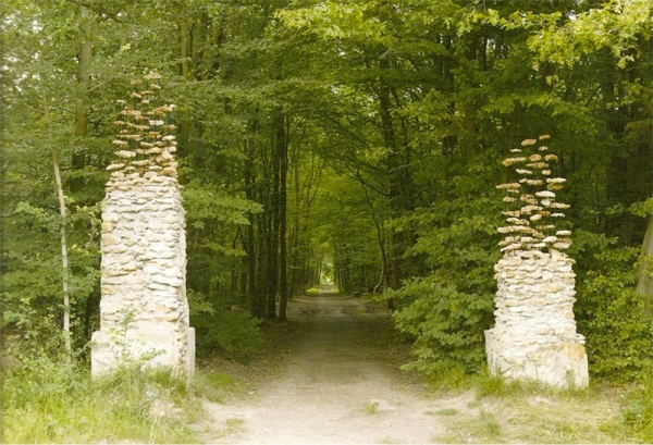 LandArt - волшебное искусство самой природы LandArt - волшебное искусство самой природы